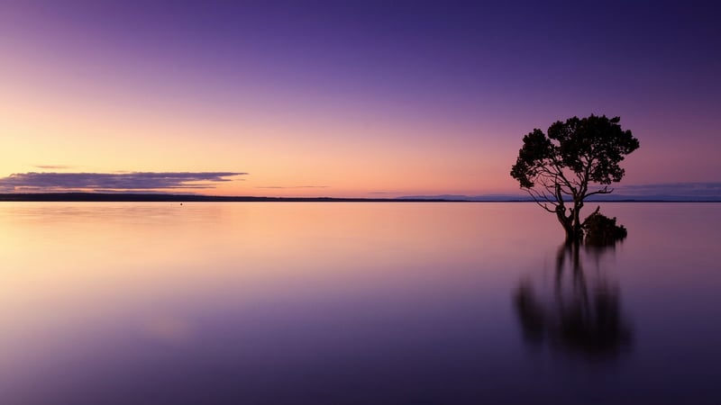 Love and Sunset